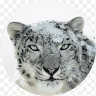 macOS Snow Leopard