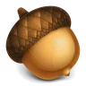 Acorn